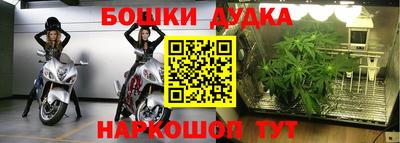 сатива Малгобек