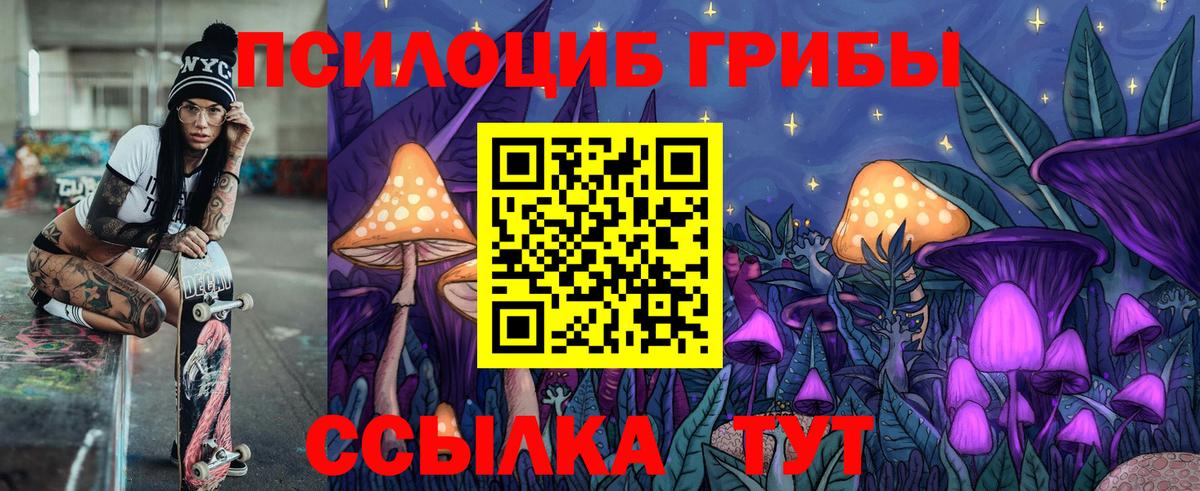 Псилоцибиновые грибы мухоморы  Вход с VPN  где купить наркоту  Великий Новгород 